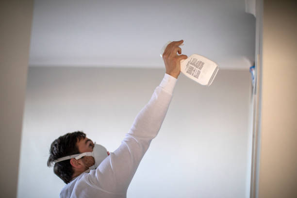 Best Commercial Mold Removal  in Benbrook, TX