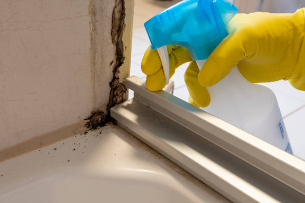 Certified Mold Removal in Benbrook, TX