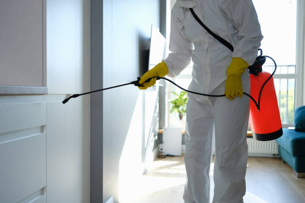 Best Certified Mold Removal  in Benbrook, TX