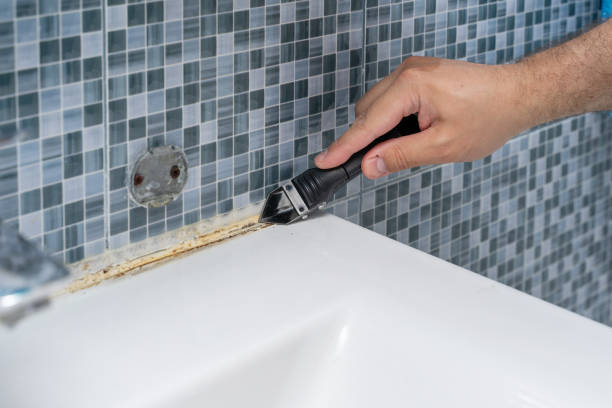 Best Fast Mold Removal  in Benbrook, TX