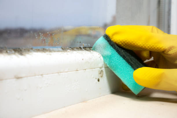 Best Mold Remediation Services  in Benbrook, TX