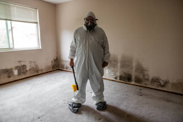 Home Mold Removal in Benbrook, TX