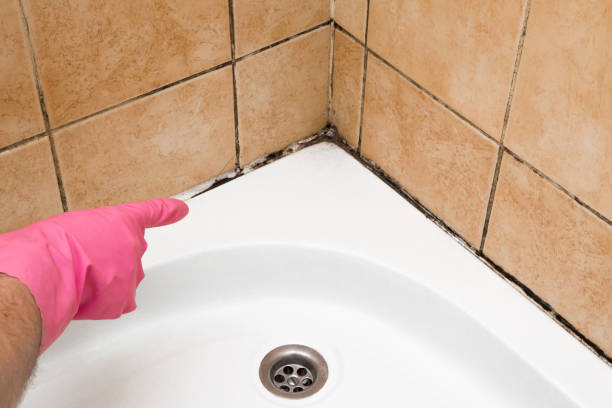Crawl Space Mold Removal in Benbrook, TX
